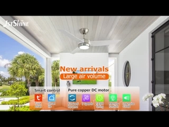 3 bladen plafondventilator met lichte DC-motor 6-versnellingskeuze Moderne stijl