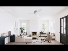 Moderne Plafondventilator 48'' Kunststof Bladen DC Motor Dual-Function Model met Optionele Lichtset